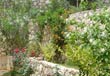 The Garden